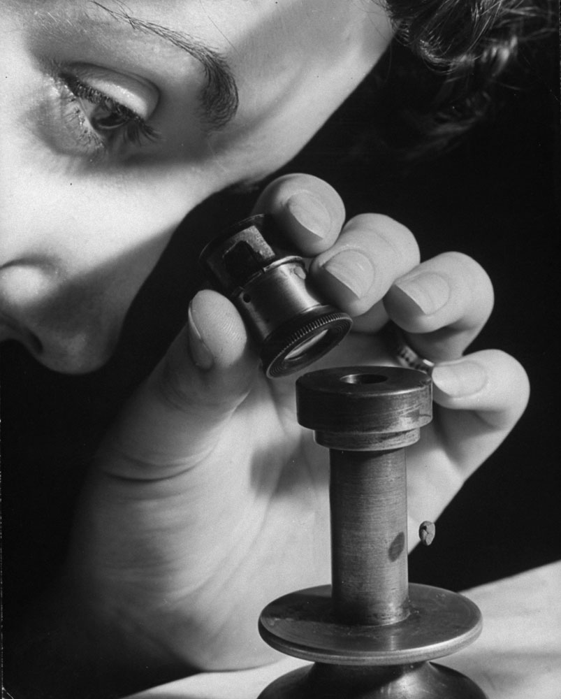 Studying black widow spiders, 1943.