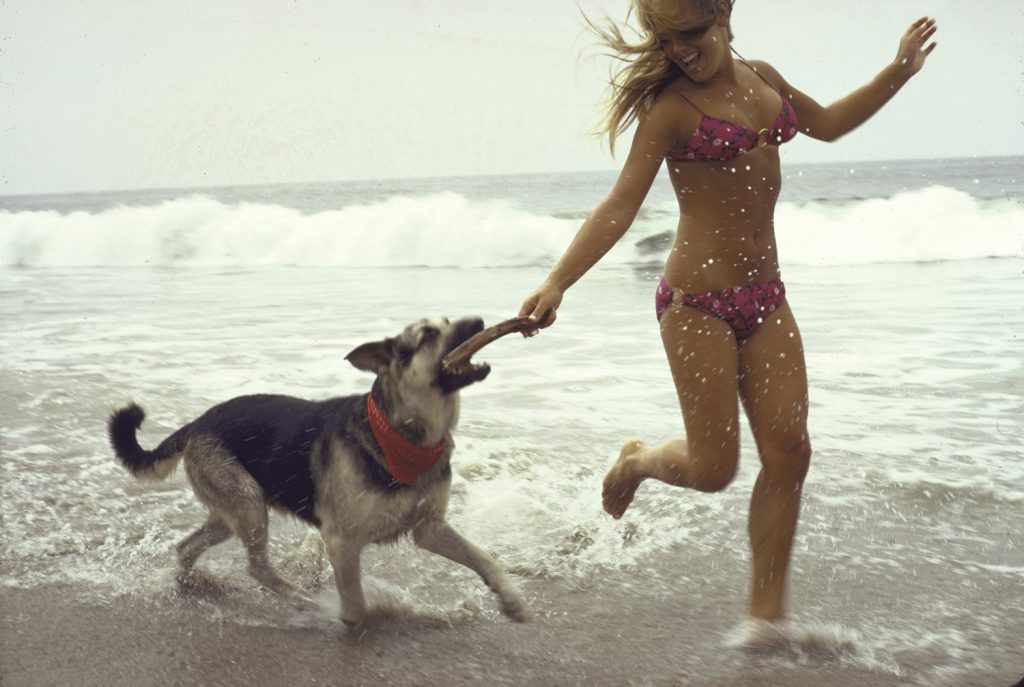 California, 1970.