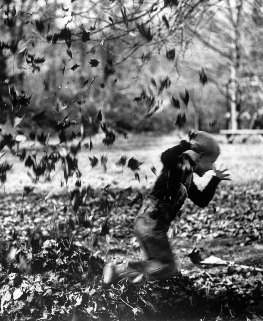 Running away from a soft bombardment of leaves thrown at him by playmates, Stewart Blickman scampers out of a leaf pile to momentary safety.