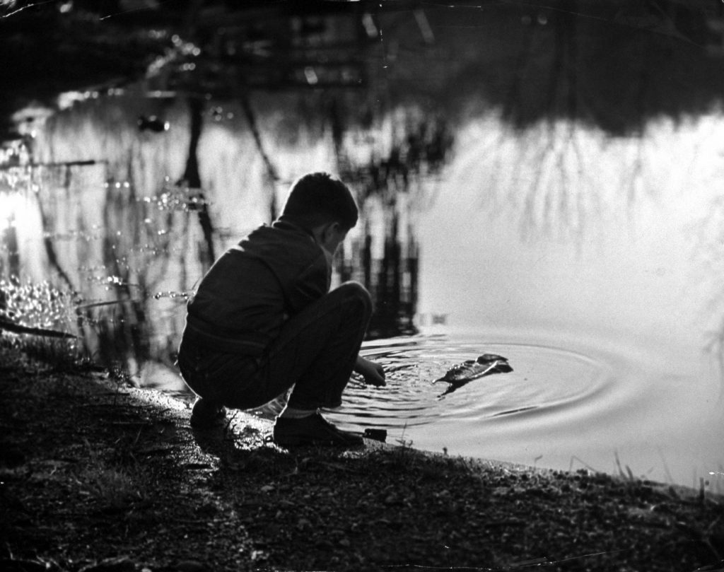 A lazy boatman's lot is daydream of Paul Fry, piloting a magnolia leaf across a pond.