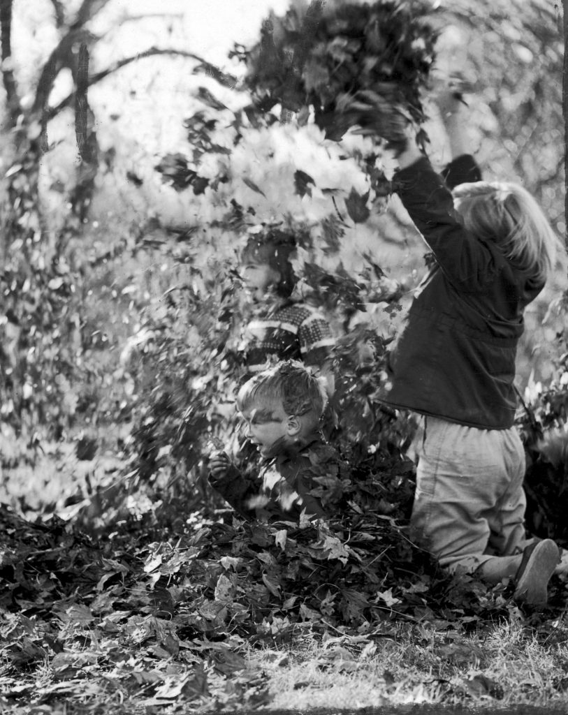 A disintegrating crown of leaves is about to be dumped by Vicky Blickman on unsuspecting Paul Bassett.