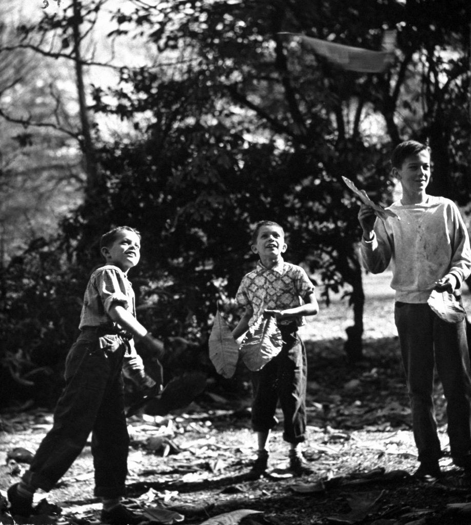 Fighting for fallen leaves is engineered by Leonard and Michael Sullivan and Edward Coates, who use them as gliders.