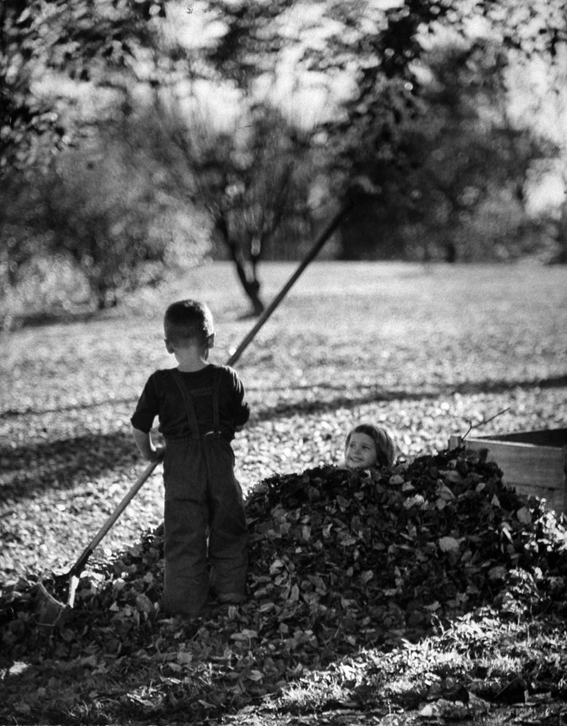Confident of her brother Vernon's care, Mary Eagle submits expectantly to afternoon burial.